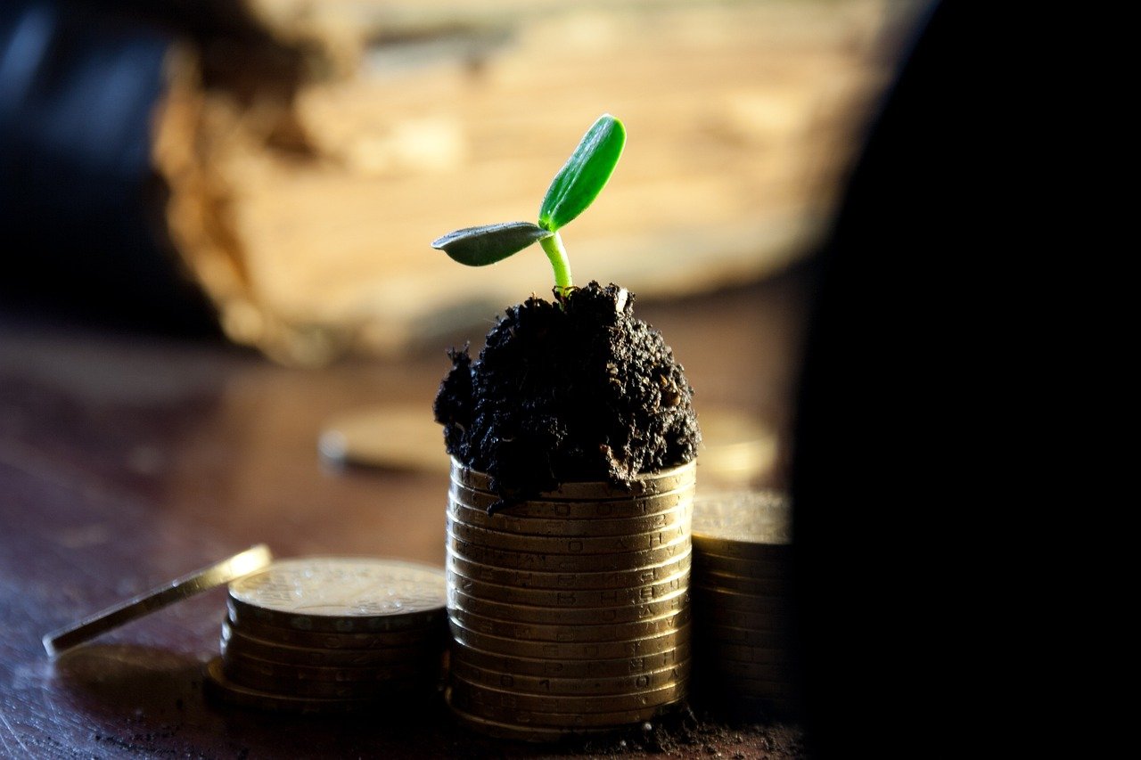 Dividendos: cómo funcionan y por qué son importantes para tu inversión